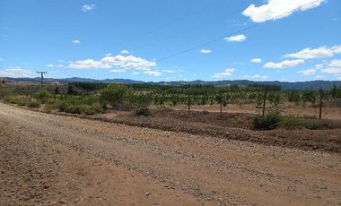 Vendo Campo en Huerta de Maule – San Javier V 1461-540-LR-12.22