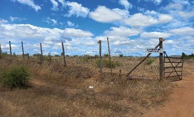 Vendo Campo en Huerta de Maule – San Javier V 1461-540-LR-12.22