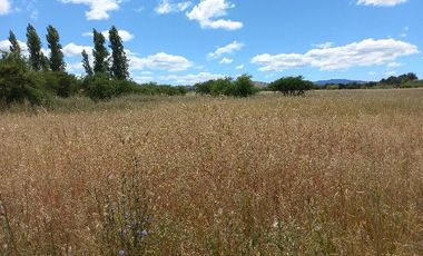 Vendo Campo en Huerta de Maule – San Javier V 1461-540-LR-12.22