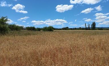 Vendo Campo en Huerta de Maule – San Javier V 1461-540-LR-12.22