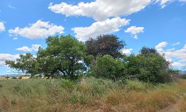 Vendo Campo en Huerta de Maule – San Javier V 1461-540-LR-12.22
