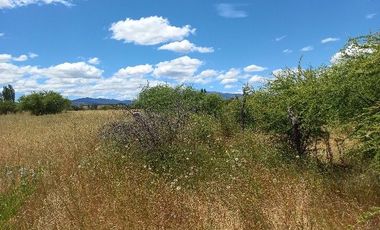 Vendo Campo en Huerta de Maule – San Javier V 1461-540-LR-12.22