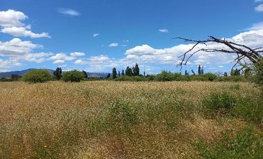 Vendo Campo en Huerta de Maule – San Javier V 1461-540-LR-12.22