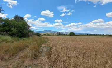 Vendo Campo en Huerta de Maule – San Javier V 1461-540-LR-12.22