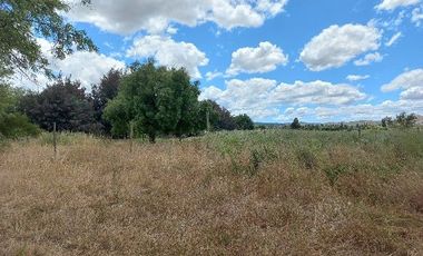 Vendo Campo en Huerta de Maule – San Javier V 1461-540-LR-12.22