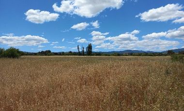 Vendo Campo en Huerta de Maule – San Javier V 1461-540-LR-12.22