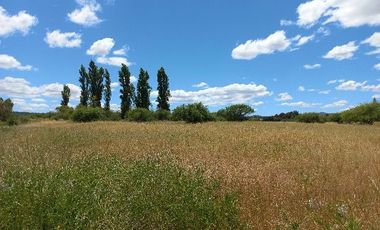 Vendo Campo en Huerta de Maule – San Javier V 1461-540-LR-12.22