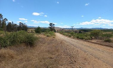 Vendo Campo en Huerta de Maule – San Javier V 1461-540-LR-12.22