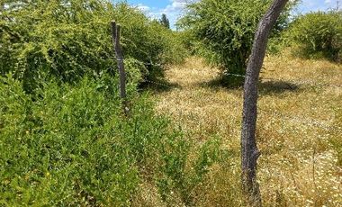 Vendo Campo en Huerta de Maule – San Javier V 1461-540-LR-12.22