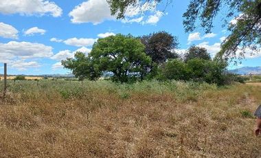 Vendo Campo en Huerta de Maule – San Javier V 1461-540-LR-12.22