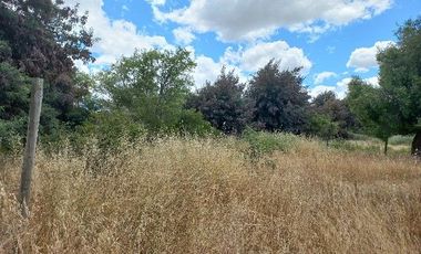 Vendo Campo en Huerta de Maule – San Javier V 1461-540-LR-12.22