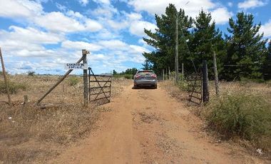 Vendo Campo en Huerta de Maule – San Javier V 1461-540-LR-12.22