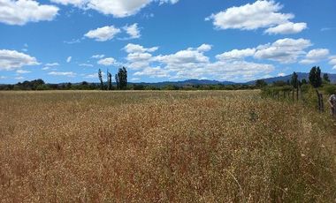 Vendo Campo en Huerta de Maule – San Javier V 1461-540-LR-12.22