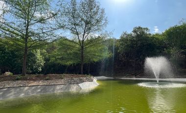 Casa venta a minutos del Bioparque Estrella, Montemorelos