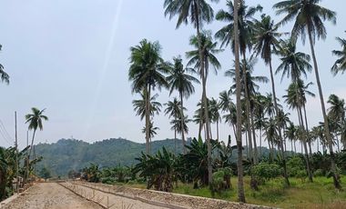 The Most Affordable House and Lot to Rise in Toledo City - Richwood Homes