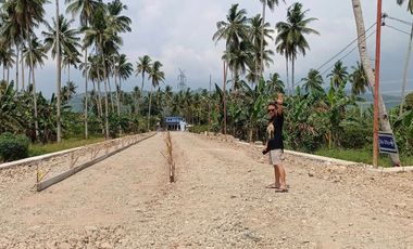 The Most Affordable House and Lot to Rise in Toledo City - Richwood Homes