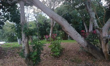 VENTA CASAS A PIE DE RIO CON EMBARCADERO PLAYA DE VACAS VERACRUZ.