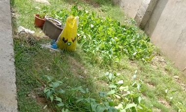 House For rent with backyard in Bayswater Talisay  3 bedrooms