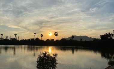 Vacant land, Khlong Thian, Cha-am, price 1,800,000 baht per 1,600 Square meter.