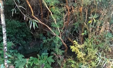 Parcelas Sector Cufeo desde $40.000.000.- Vendemos parcelas salida Sur de Valdivia, a 25 kilómetros