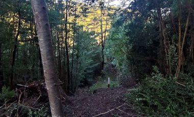 Parcelas Sector Cufeo desde $40.000.000.- Vendemos parcelas salida Sur de Valdivia, a 25 kilómetros