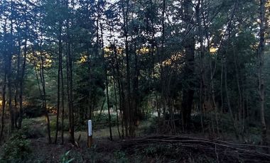 Parcelas Sector Cufeo desde $40.000.000.- Vendemos parcelas salida Sur de Valdivia, a 25 kilómetros
