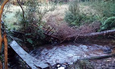 Parcelas Sector Cufeo desde $40.000.000.- Vendemos parcelas salida Sur de Valdivia, a 25 kilómetros