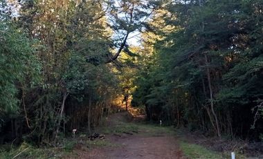 Parcelas Sector Cufeo desde $40.000.000.- Vendemos parcelas salida Sur de Valdivia, a 25 kilómetros