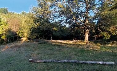 Parcelas Sector Cufeo desde $40.000.000.- Vendemos parcelas salida Sur de Valdivia, a 25 kilómetros