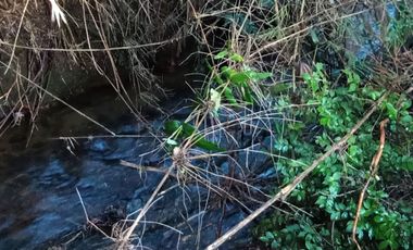 Parcelas Sector Cufeo desde $40.000.000.- Vendemos parcelas salida Sur de Valdivia, a 25 kilómetros