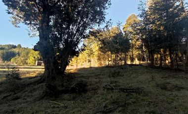 Parcelas Sector Cufeo desde $40.000.000.- Vendemos parcelas salida Sur de Valdivia, a 25 kilómetros