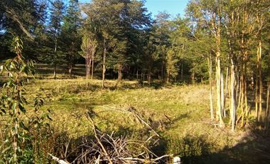 Parcelas Sector Cufeo desde $40.000.000.- Vendemos parcelas salida Sur de Valdivia, a 25 kilómetros