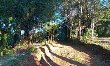 Parcelas Sector Cufeo desde $40.000.000.- Vendemos parcelas salida Sur de Valdivia, a 25 kilómetros