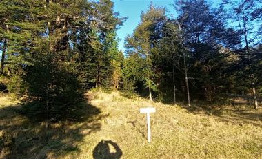 Parcelas Sector Cufeo desde $40.000.000.- Vendemos parcelas salida Sur de Valdivia, a 25 kilómetros