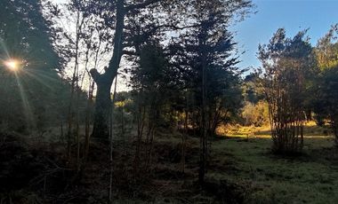 Parcelas Sector Cufeo desde $40.000.000.- Vendemos parcelas salida Sur de Valdivia, a 25 kilómetros