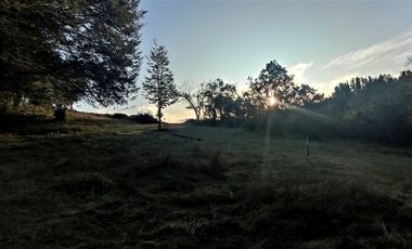 Parcelas Sector Cufeo desde $40.000.000.- Vendemos parcelas salida Sur de Valdivia, a 25 kilómetros