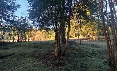 Parcelas Sector Cufeo desde $40.000.000.- Vendemos parcelas salida Sur de Valdivia, a 25 kilómetros