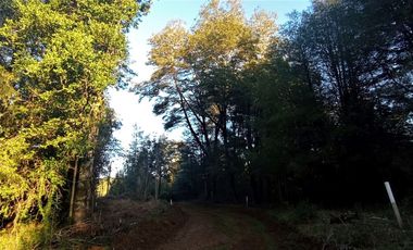 Parcelas Sector Cufeo desde $40.000.000.- Vendemos parcelas salida Sur de Valdivia, a 25 kilómetros