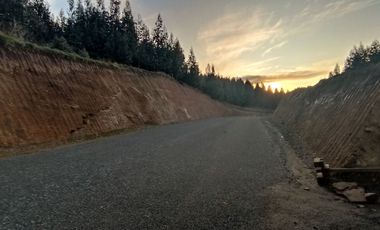 Parcelas Sector Cufeo desde $40.000.000.- Vendemos parcelas salida Sur de Valdivia, a 25 kilómetros