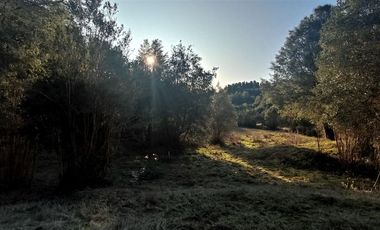 Parcelas Sector Cufeo desde $40.000.000.- Vendemos parcelas salida Sur de Valdivia, a 25 kilómetros