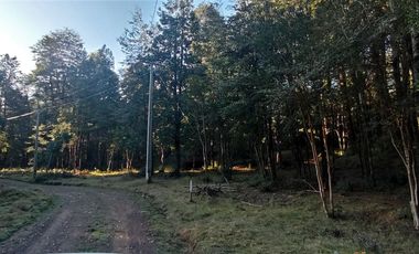 Parcelas Sector Cufeo desde $40.000.000.- Vendemos parcelas salida Sur de Valdivia, a 25 kilómetros
