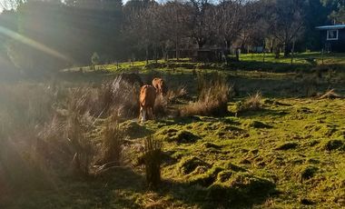 Parcelas Sector Cufeo desde $40.000.000.- Vendemos parcelas salida Sur de Valdivia, a 25 kilómetros