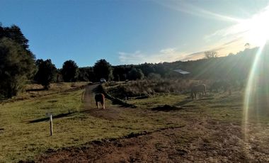 Parcelas Sector Cufeo desde $40.000.000.- Vendemos parcelas salida Sur de Valdivia, a 25 kilómetros