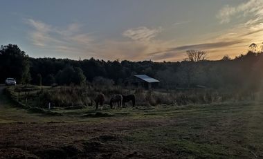 Parcelas Sector Cufeo desde $40.000.000.- Vendemos parcelas salida Sur de Valdivia, a 25 kilómetros