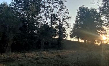 Parcelas Sector Cufeo desde $40.000.000.- Vendemos parcelas salida Sur de Valdivia, a 25 kilómetros