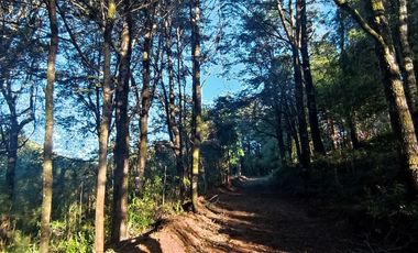 Parcelas Sector Cufeo desde $40.000.000.- Vendemos parcelas salida Sur de Valdivia, a 25 kilómetros