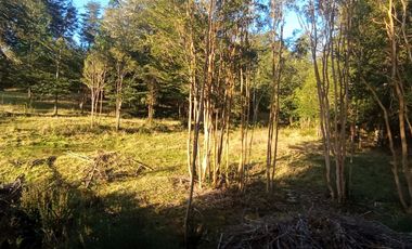 Parcelas Sector Cufeo desde $40.000.000.- Vendemos parcelas salida Sur de Valdivia, a 25 kilómetros