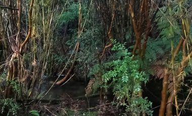 Parcelas Sector Cufeo desde $40.000.000.- Vendemos parcelas salida Sur de Valdivia, a 25 kilómetros