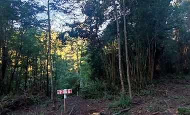 Parcelas Sector Cufeo desde $40.000.000.- Vendemos parcelas salida Sur de Valdivia, a 25 kilómetros