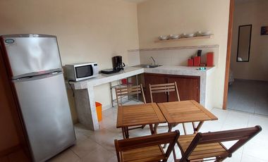 Departamento Amueblado En Zona Residencial
